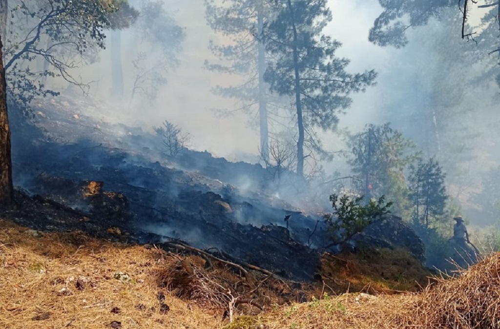 İlçemiz Kozan'da çıkan orman yangını söndürüldü