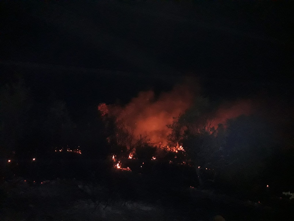 Gündüz Bağtepe Mahallesi,Akşam Hacımirzalı mahallesi Ayvalıkoyak Orman ve Bahçe Yangını