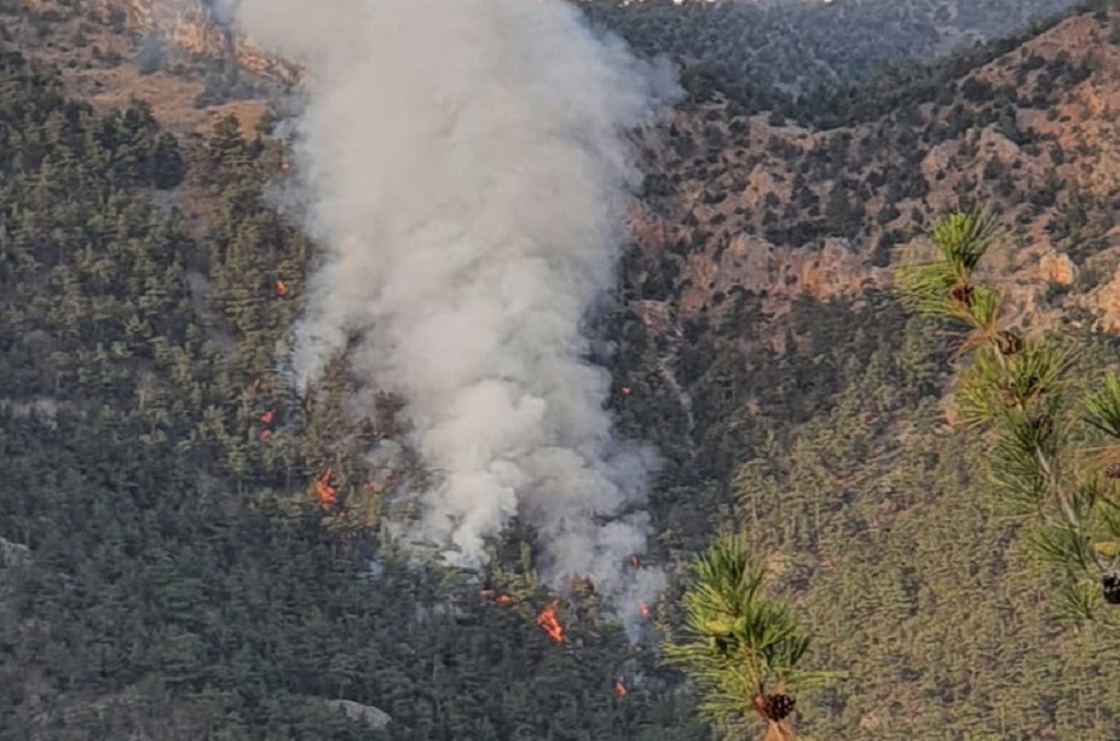 Yıldırım Düştü 3 Kişi Yaralandı Aksaağaç Mahallesinde Orman Yangını Çıktı