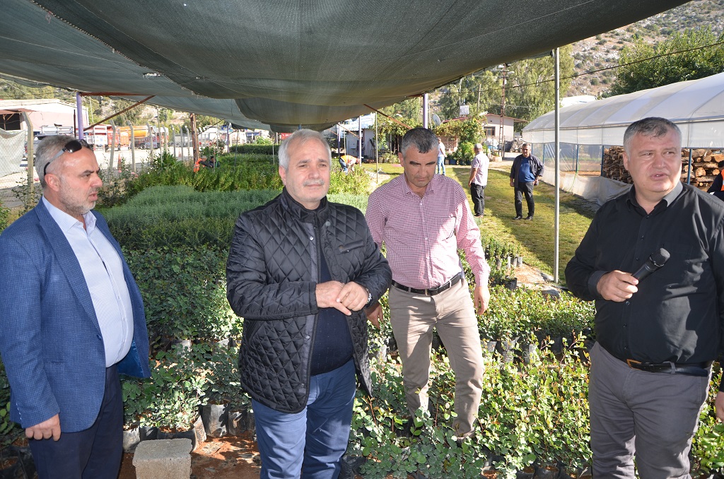Kozan Belediyesi Harnup Üretimi için harekete geçti