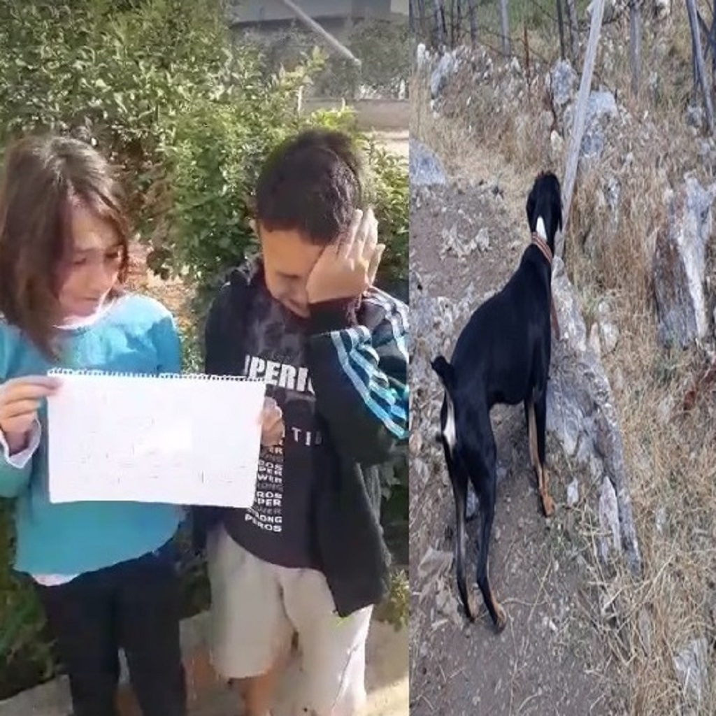 Küçük Ali ve Işıl,kardeşler  kaybolan köpeği için gözyaşı döktüler