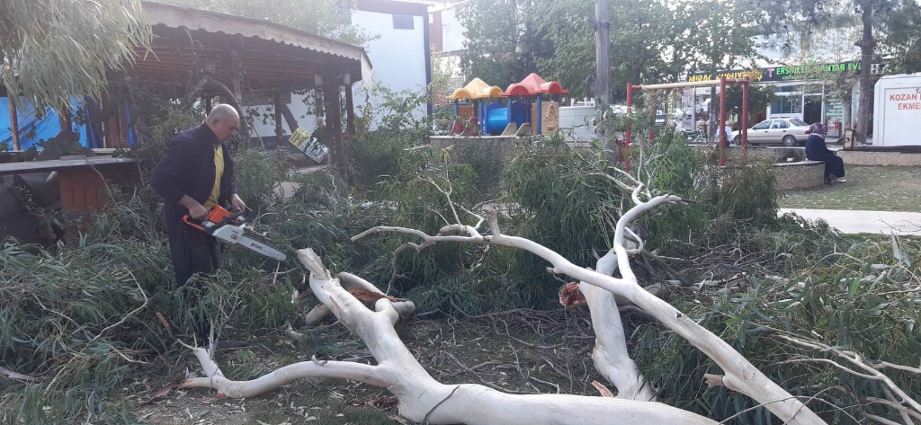 Kozan’da şiddetli fırtına ağaçları devirdi Belediye ekipleri anında müdahale etti
