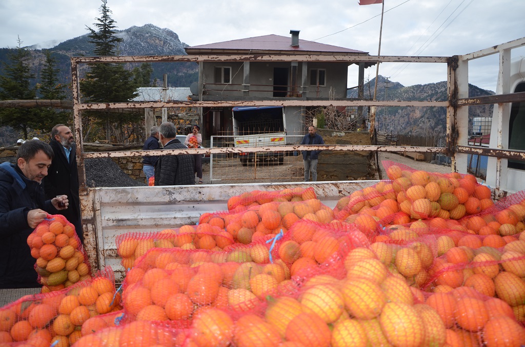 Kozan Belediyesi köylerde vatandaşlara c vitamini portakal ve limon dağıttı