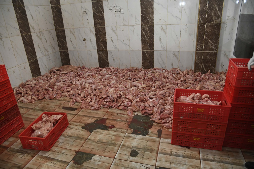 Yılbaşı için piyasaya sürülmek üzere 2 ton sağlıksız tavuk etine el konuldu