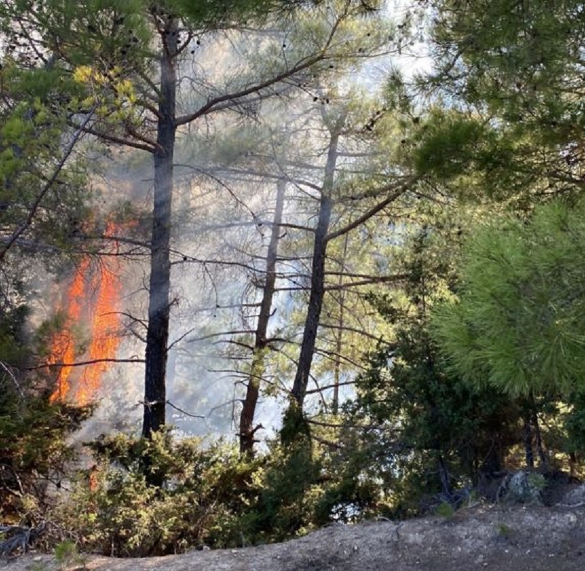 Kozan ve Feke’de Orman Yangını