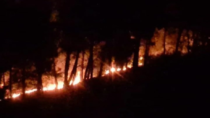 Kozan’da Orman Yangını
