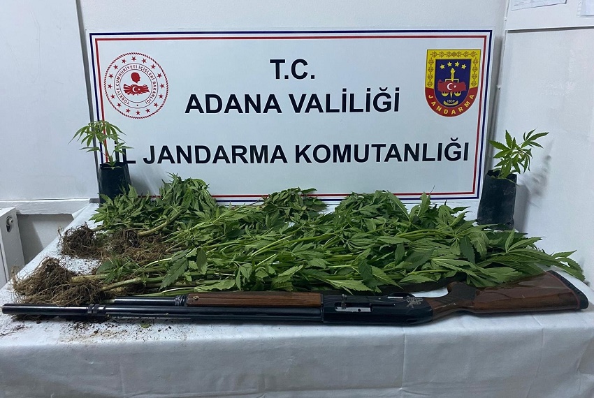 Saimbeyli Jandarma Ekiplerinden Uyuşturucu Operasyonu