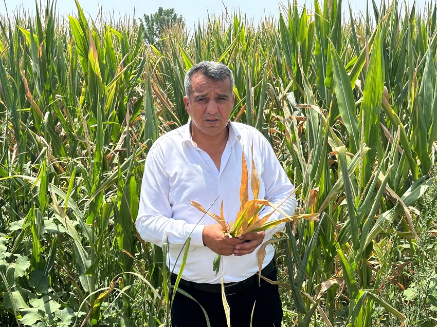 ŞAHBAZOĞLU: “VEKİLLER SAHAYA İNSİN, DURUMU GÖRSÜN”