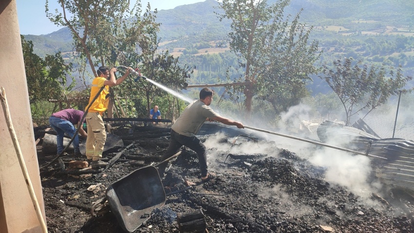 Köseli Mahallesi’nde Orman Yangını