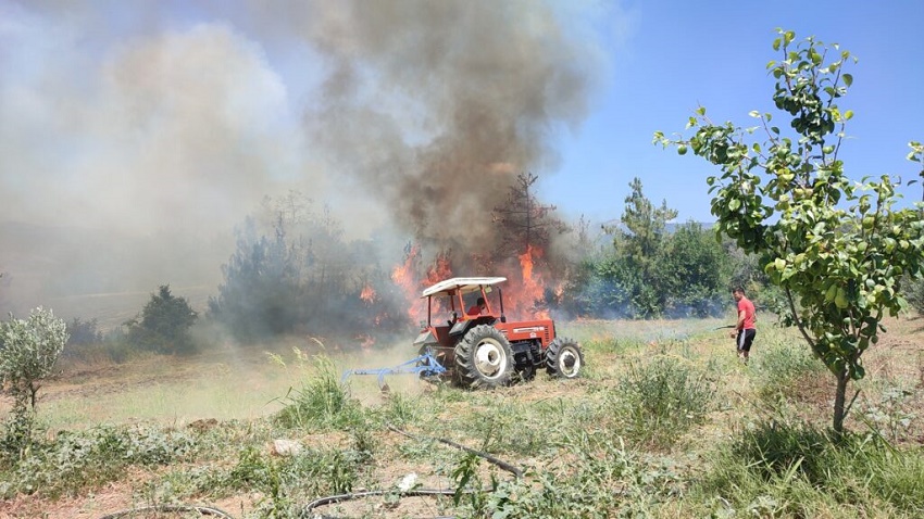 Kozan’da Korkutan Orman Yangını