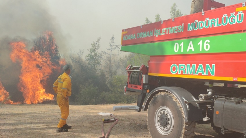 Köseli Mahallesi’nde Orman Yangını