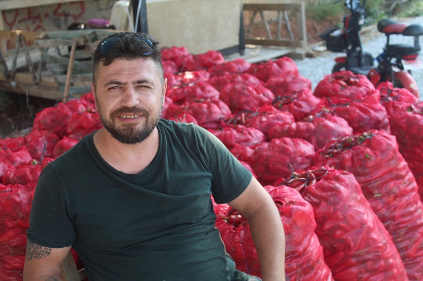 Salçalık Biber Tezgahlarda Yerini Aldı