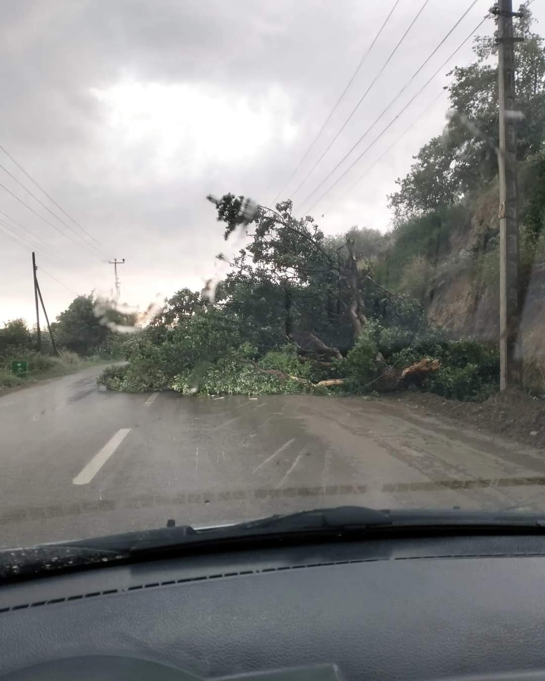 Adananın Kozan ilçesinde bu gün öğle sonu etkili olan fırtına ve yağış nedeniyle kadirli caddesi üzerinde bulunan ağaçları yola devrildi.