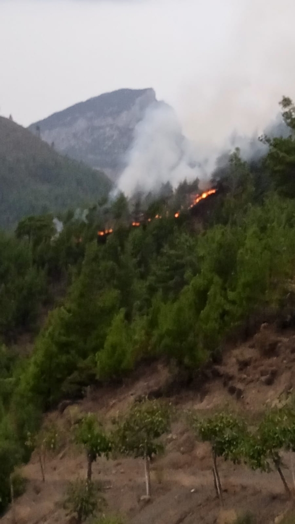 Adananın Kozan ilçesinde bu gün öğle sonu etkili olan fırtına ve yağış nedeniyle kadirli caddesi üzerinde bulunan ağaçları yola devrildi.