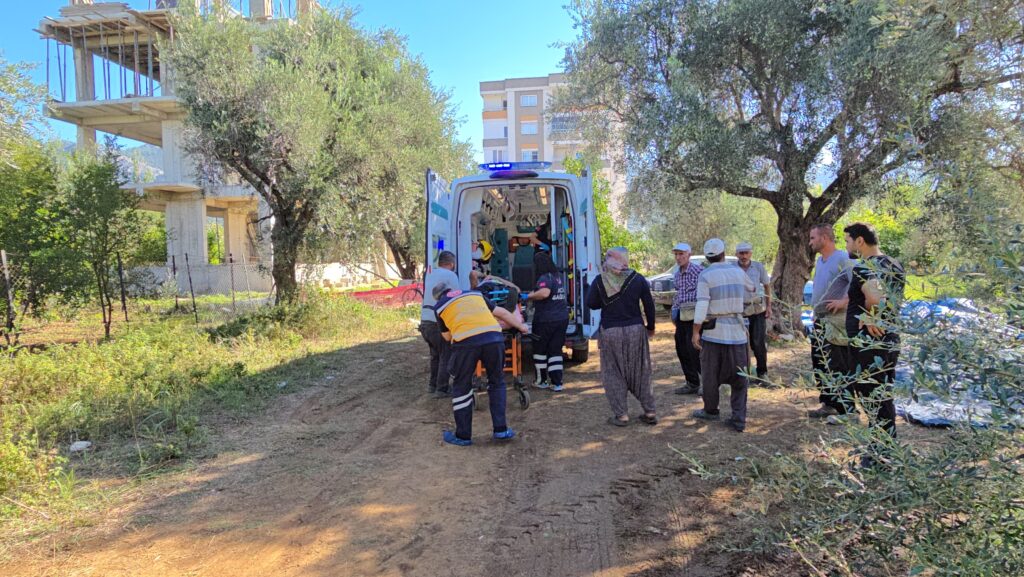 Zeytin Ağacından Düşen Vatandaş Yaralandı