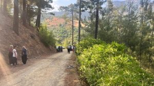 Maran Tordere Mevkisinde Trafik Kazası