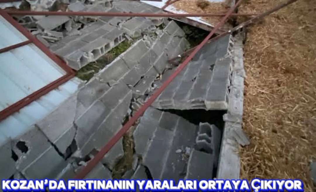 KOZAN’DA FIRTINANIN YARALARI ORTAYA ÇIKIYOR