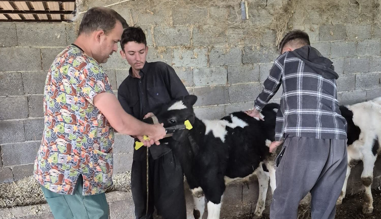KOZAN’DA ŞAP AŞILAMA ÇALIŞMALARI ARALIKSIZ SÜRÜYOR