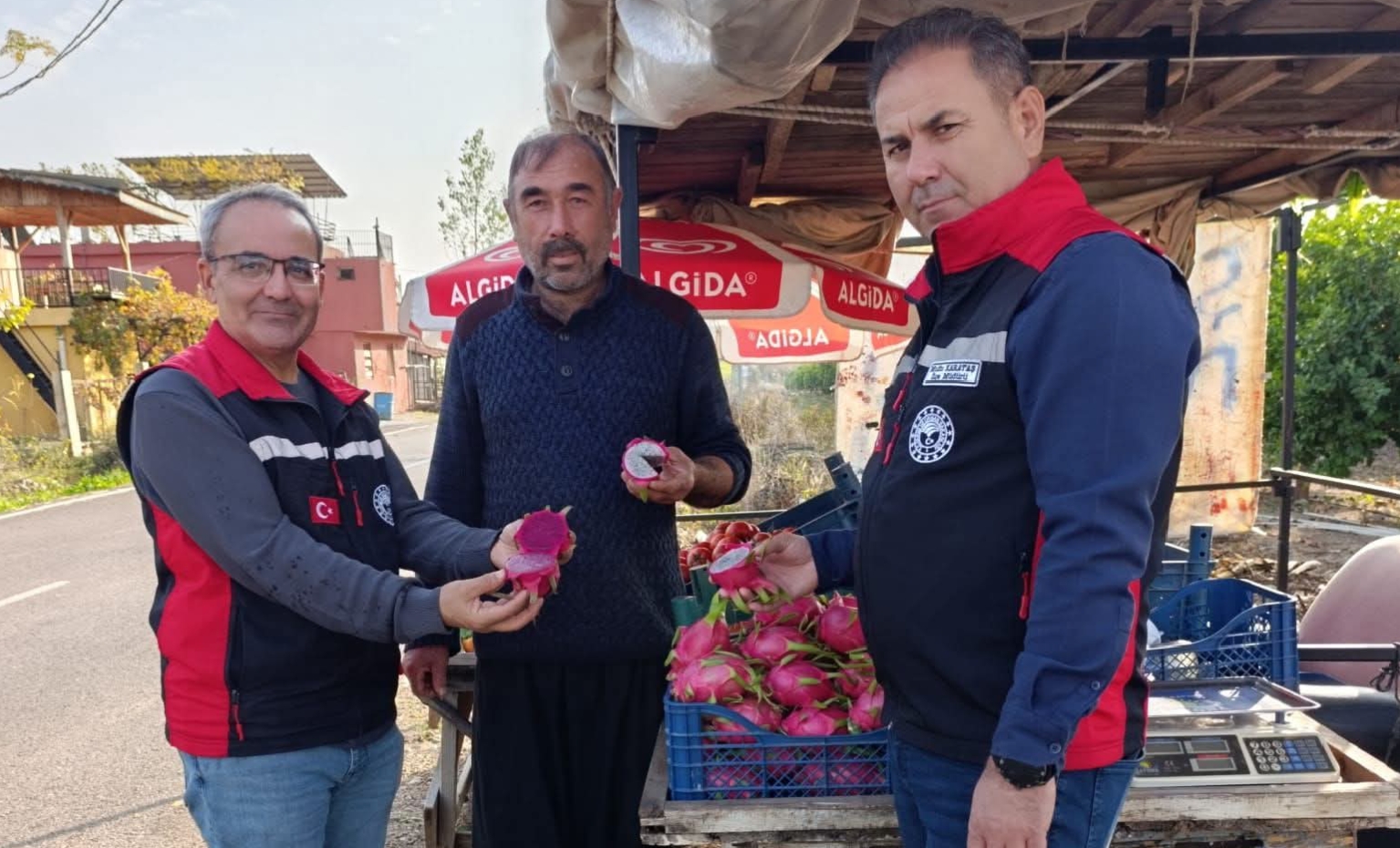 KOZAN’DA SAHADA HASTALIK VE ZARARLI KONTROLLERİ ARALIKSIZ SÜRÜYOR