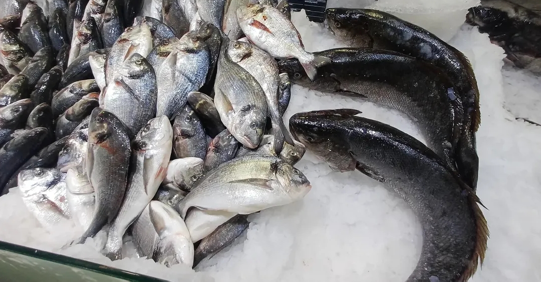 KOZAN’DA SU ÜRÜNLERİ DENETİMLERİ TITIZLIKLE SÜRÜYOR