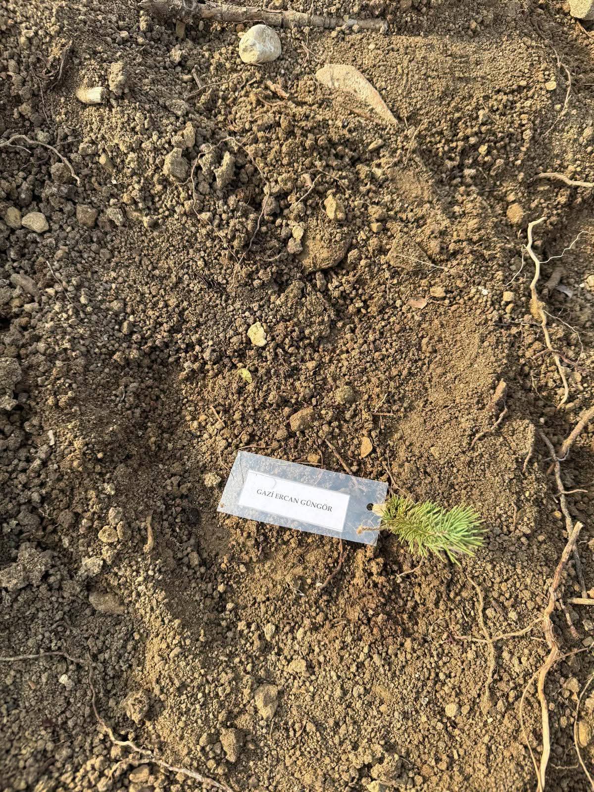 Kozan’da Şehit ve Gaziler Anısına Anlamlı Fidan Dikimi