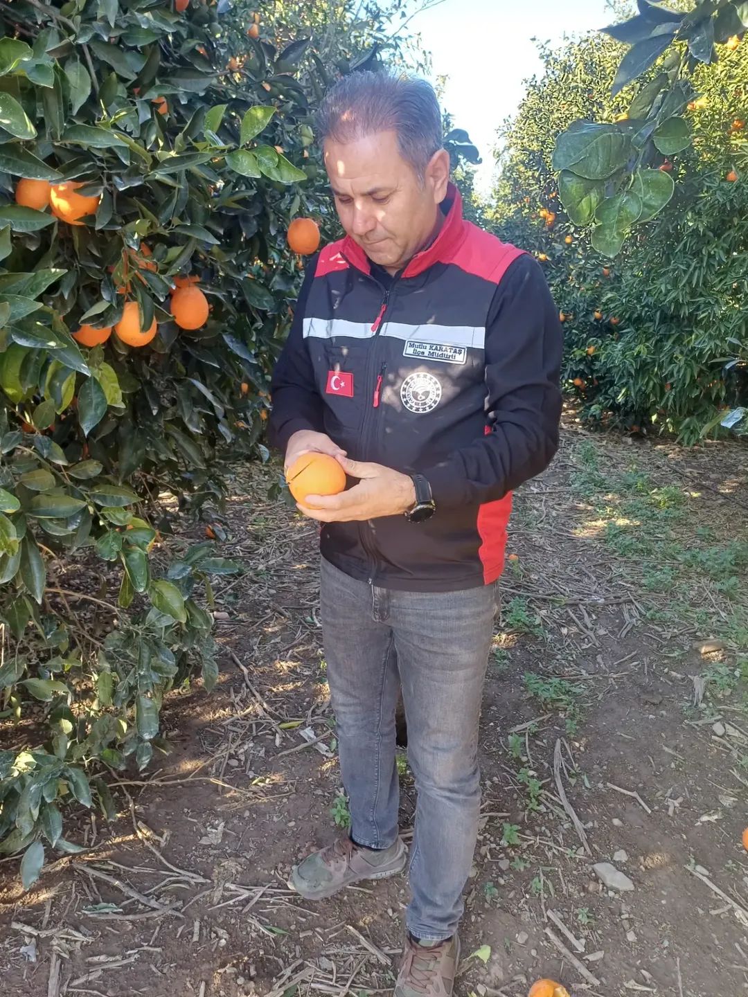 FB IMG 1767372414653