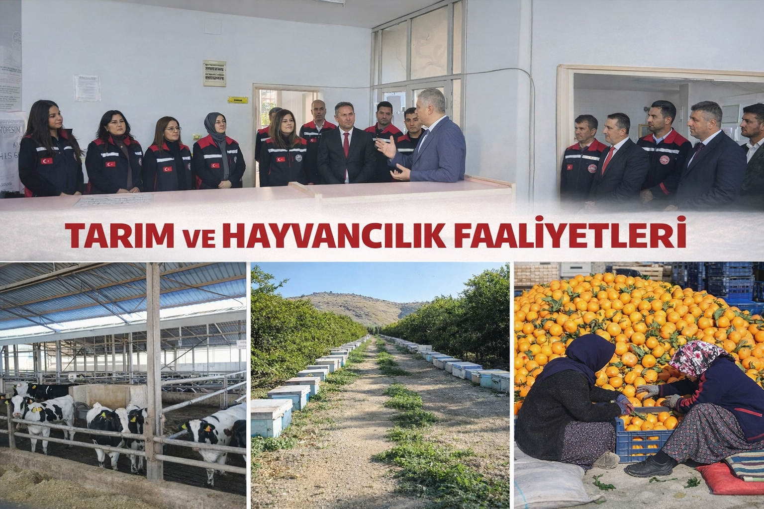Kozan’da Tarım, Hayvancılık ve İhracata Güçlü Destek