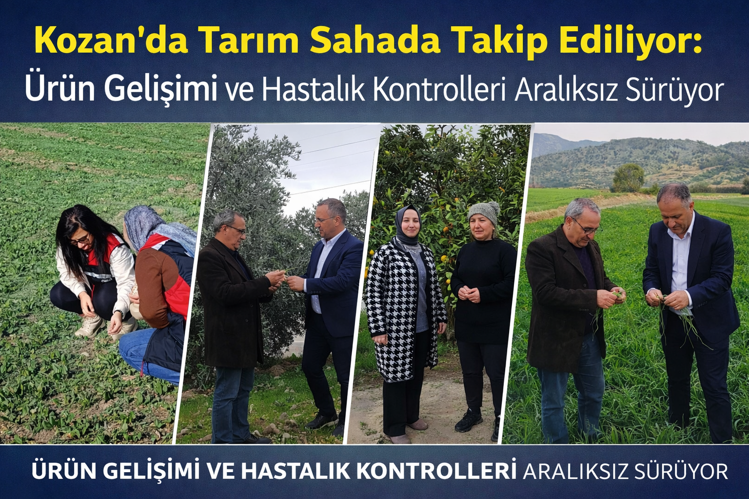 Kozan’da Tarım Sahada Takip Ediliyor: Ürün Gelişimi ve Hastalık Kontrolleri Aralıksız Sürüyor