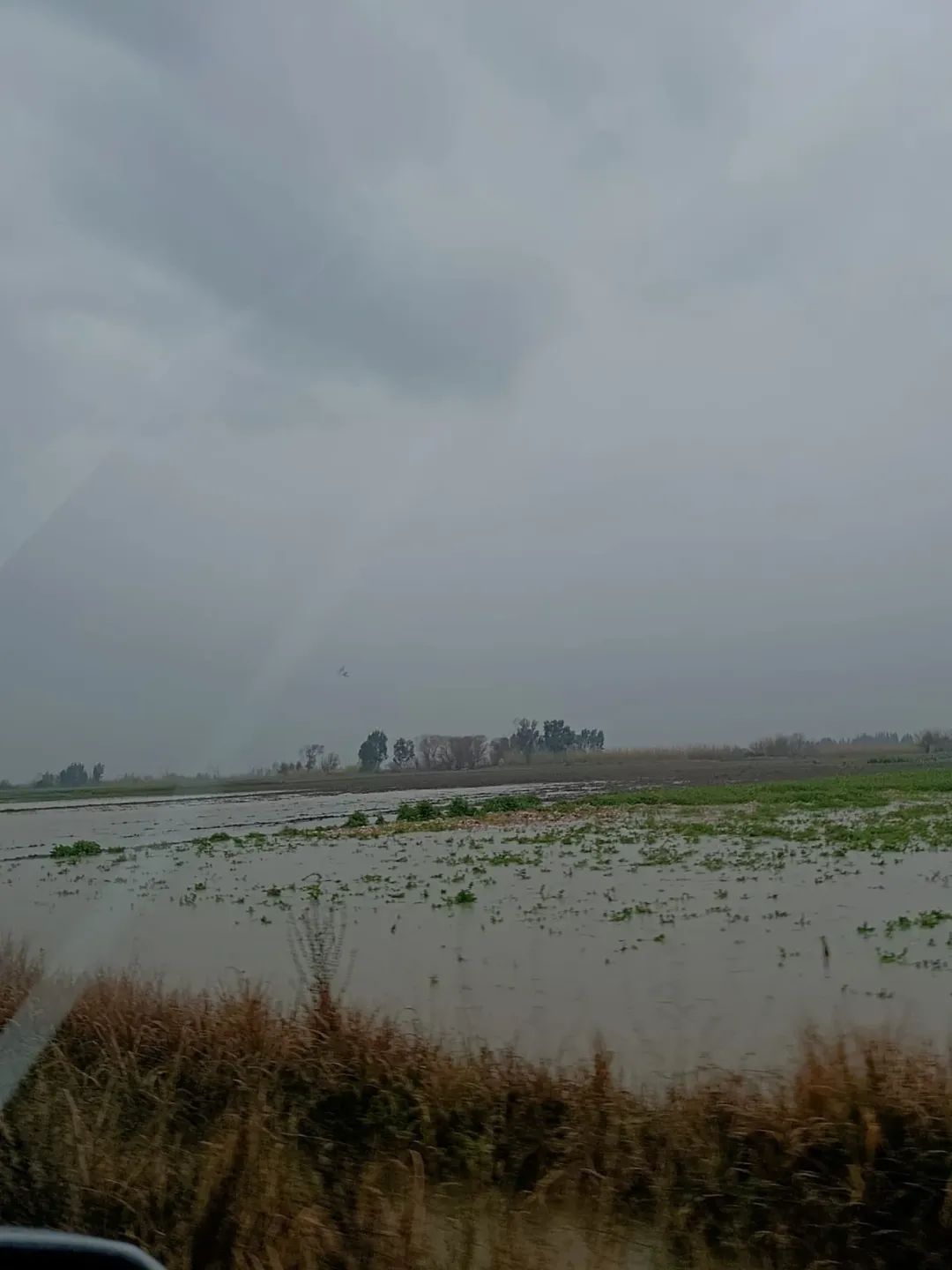 ADANA İL TARIM MÜDÜRÜ BAYAZIT KOZAN’DA SEL HASARINI YERİNDE İNCELEDİ