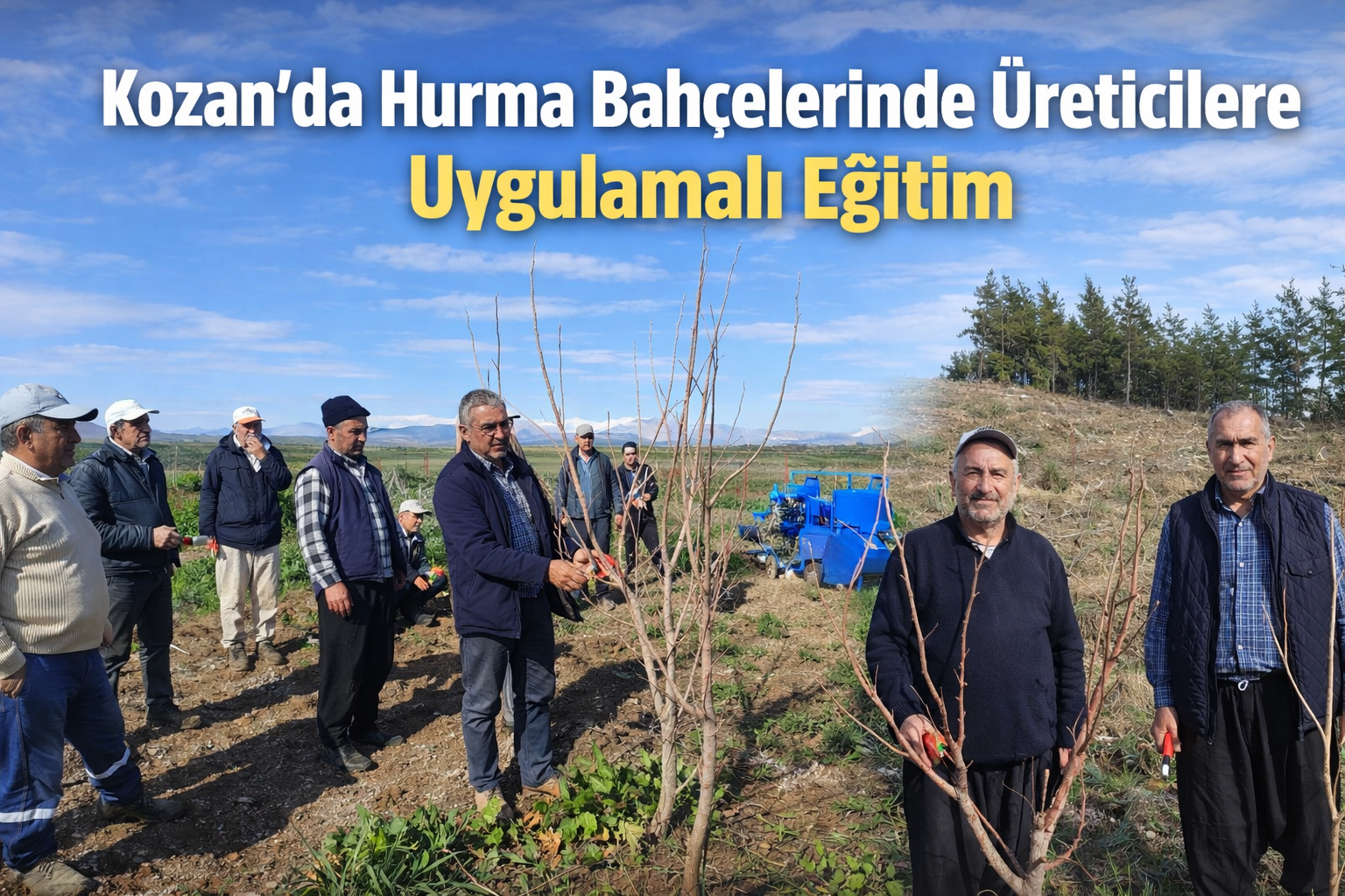 Kozan’da Hurma Bahçelerinde Üreticilere Uygulamalı Eğitim