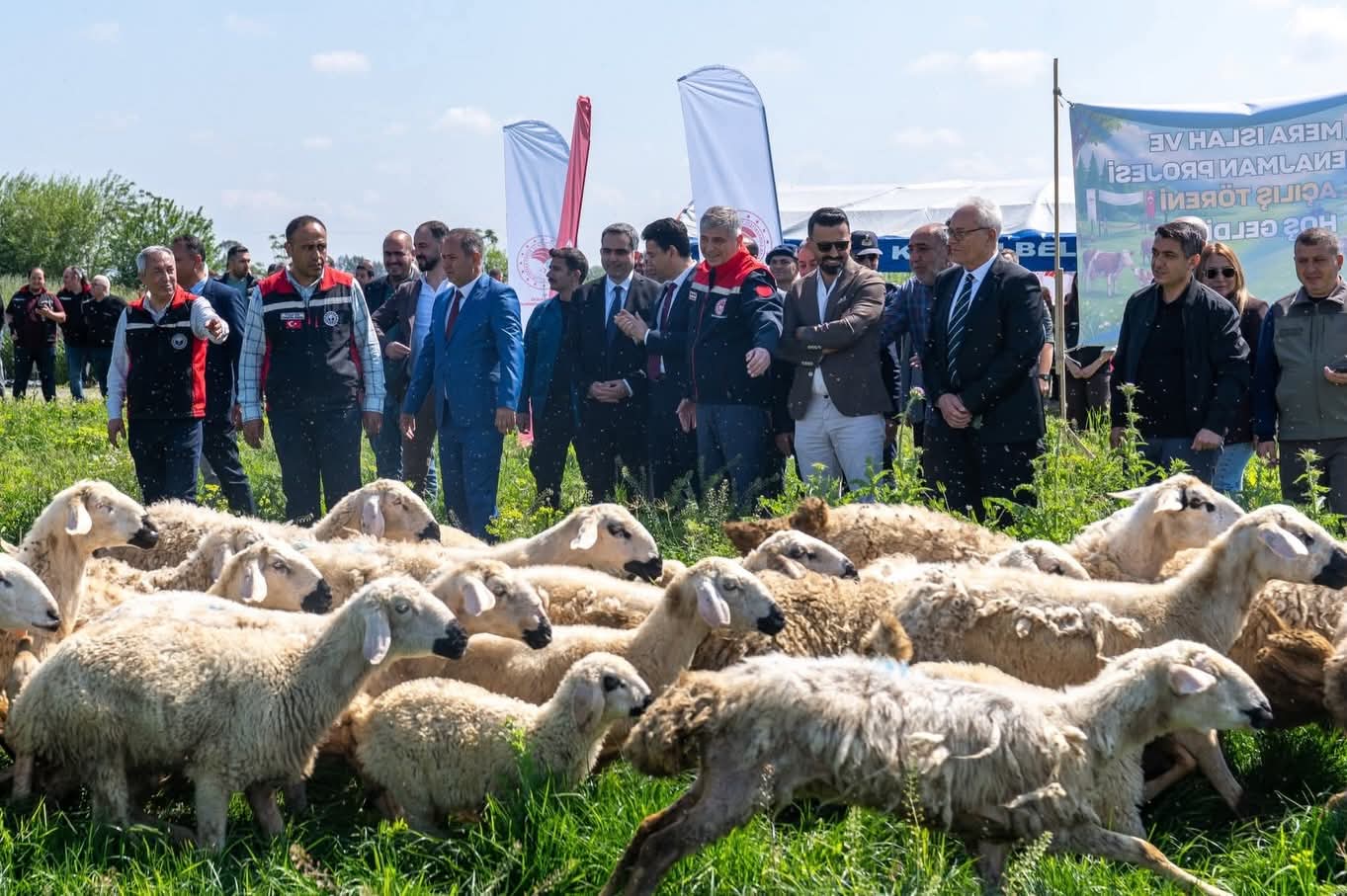 KOZAN’DA 245 DEKARLIK MERA YENİDEN HAYATA KAZANDIRILDI