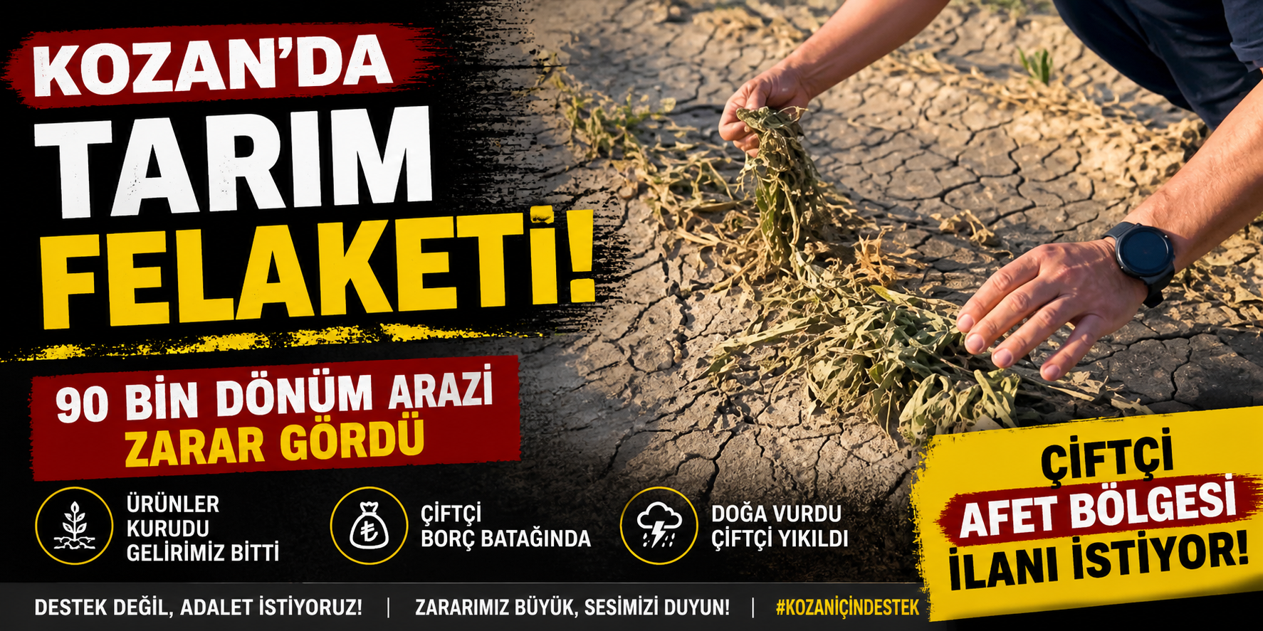 KOZAN’DA TARIM FELAKETİ: 90 BİN DÖNÜM ARAZİ ZARAR GÖRDÜ, ÇİFTÇİ AFET BÖLGESİ İLANI İSTİYOR