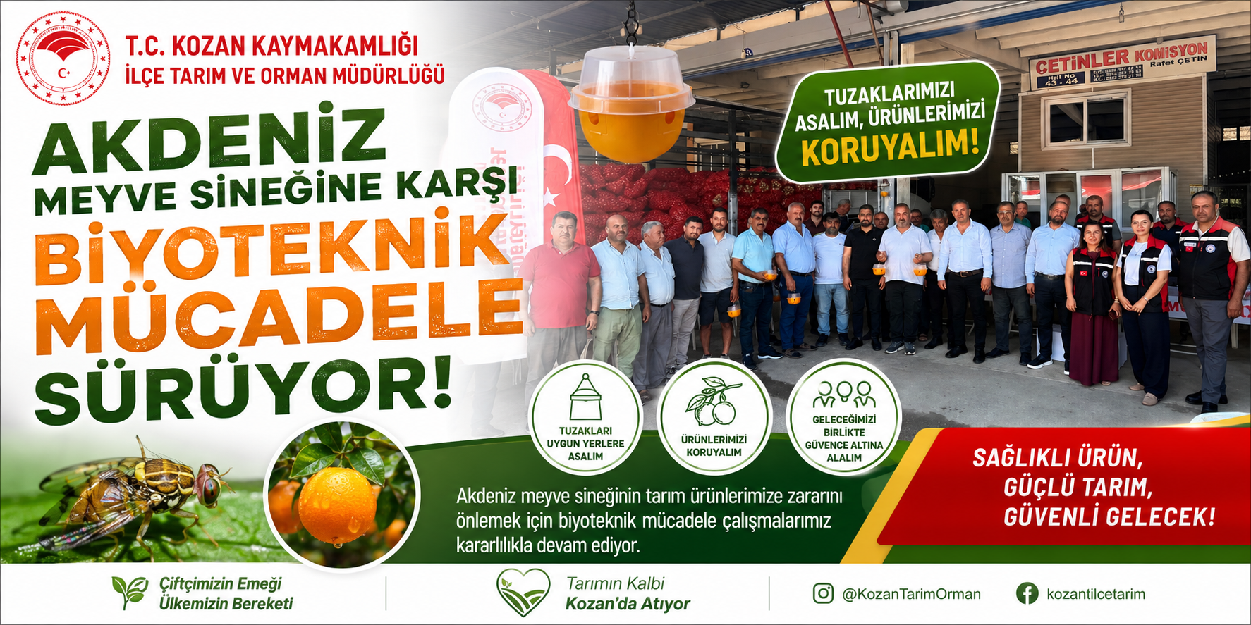 AKDENİZ MEYVE SİNEĞİNE KARŞI BİYOTEKNİK MÜCADELE SÜRÜYOR
