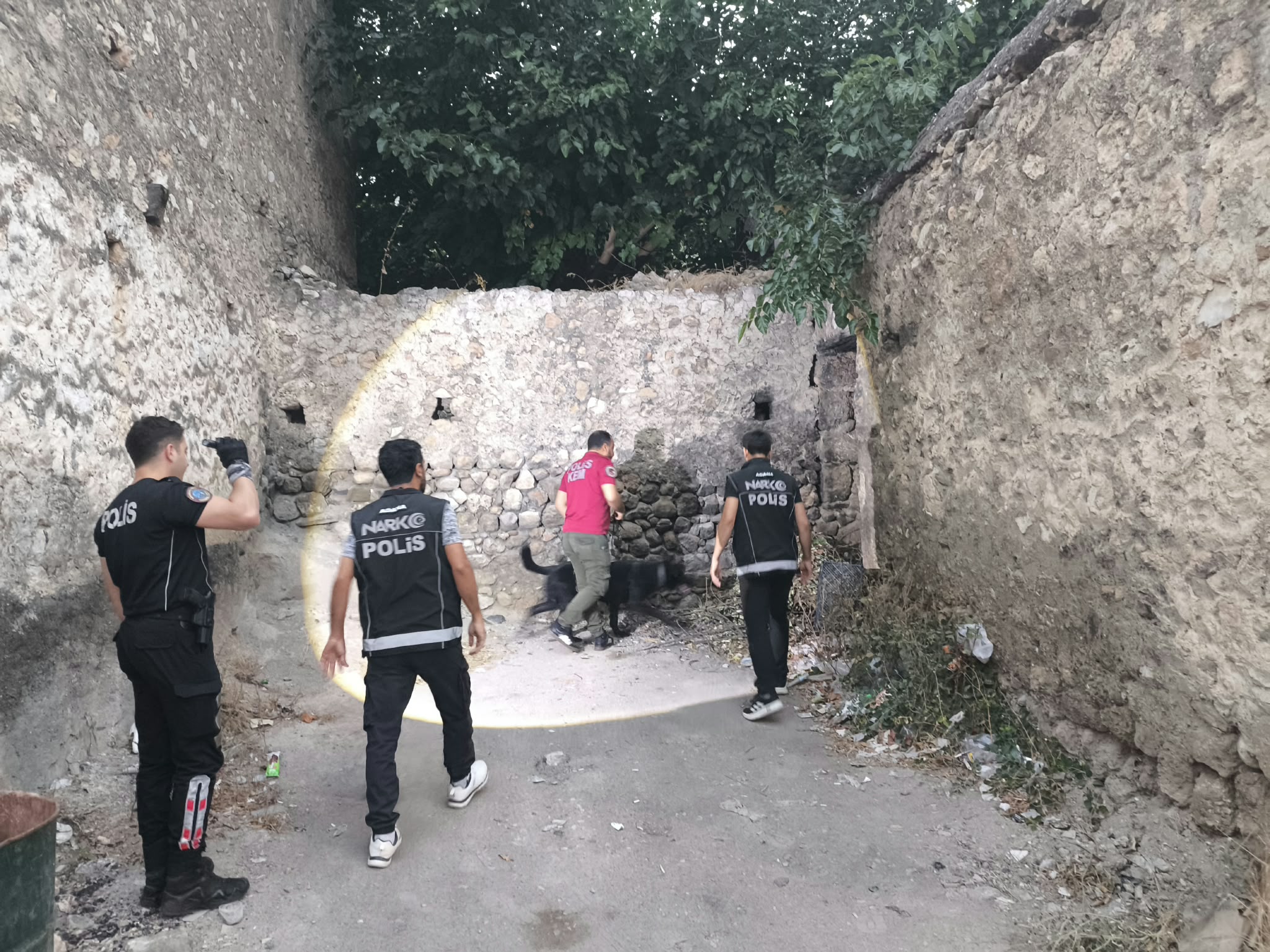 IMG 20260819 WA0020